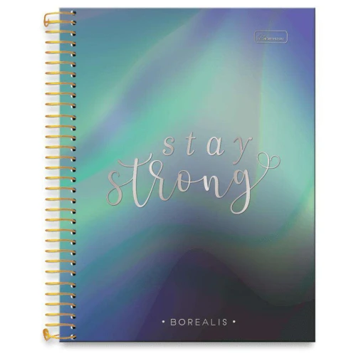 Caderno capa dura 10x1 160 folhas Borealis feminino 177x240mm Cadersil