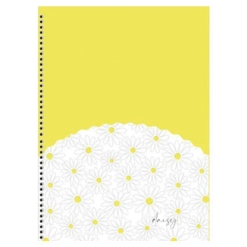 Caderno capa dura 10x1 160 folhas feminino Daisy São Domingos