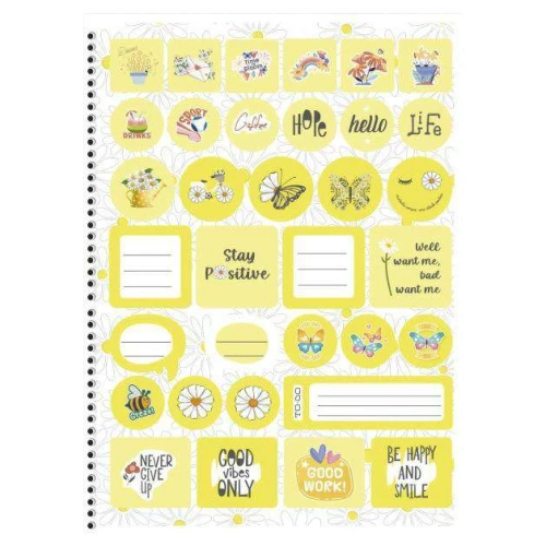 Caderno capa dura 10x1 160 folhas feminino Daisy São Domingos