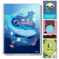 Caderno capa dura 01 matéria 80 folhas feminino My collection Credeal