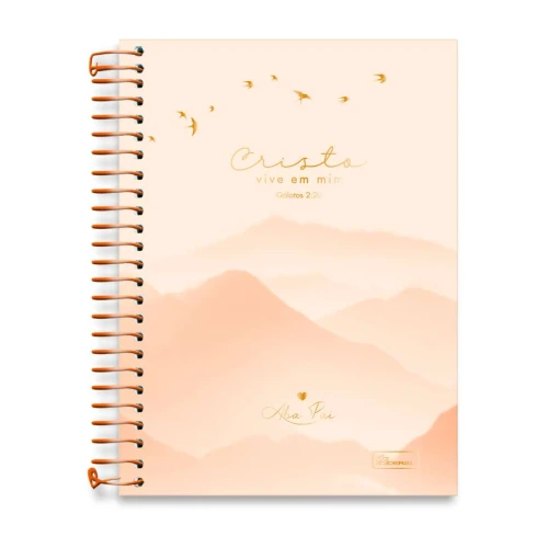 Caderno capa dura 10x1 com 160 folhas religioso Aba Pai Cadersil