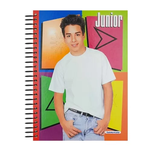 Caderno capa dura 15x1 300 folhas Sandy e Junior