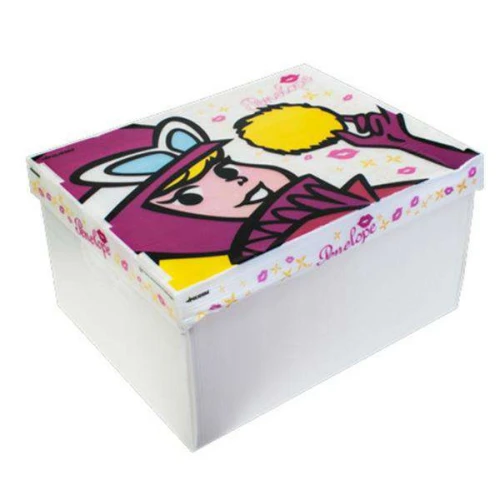 Caixa polionda ezbox 40x30x22cm penelope/picolina/puffy amiyumi