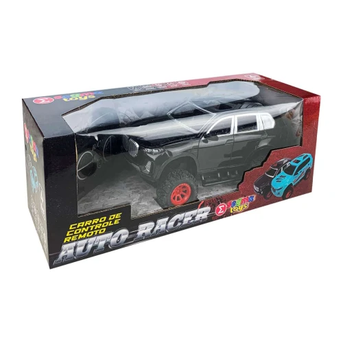 Carrinho de controle remoto auto racer 1248 Segma Toys