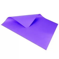 Cartolina dupla face roxo 48x66cm blister