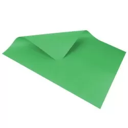 Cartolina dupla face verde bandeira 48x66cm blister