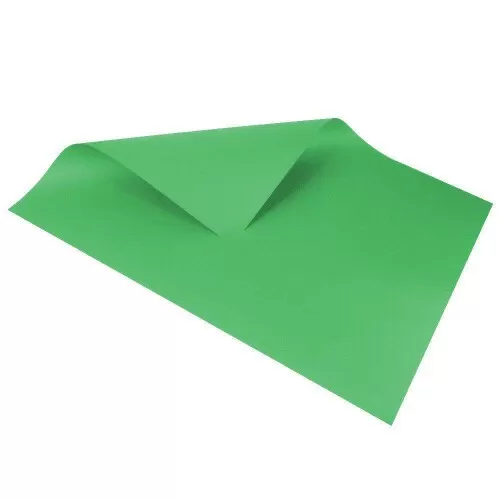 Cartolina dupla face verde bandeira 48x66cm blister