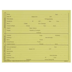 Ficha cadastral n°2 com 100 unidades