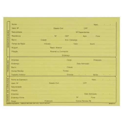 Ficha cadastral n°2 com 100 unidades