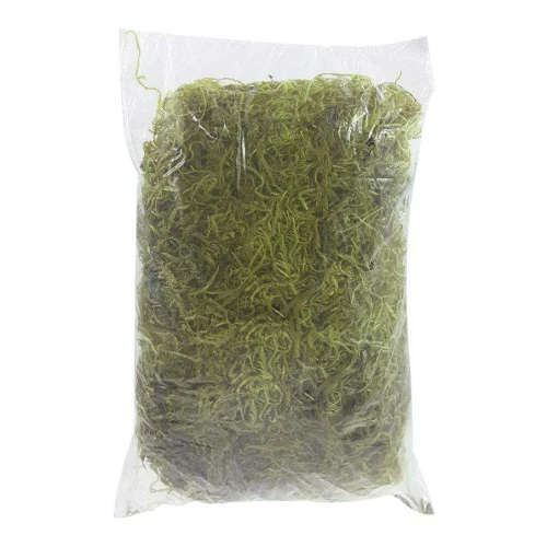 Musgo verde limão 50g Kramer