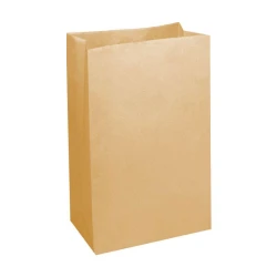 Saco de papel kraft delivery 23x12,5x30,5cm com 50 unidades Gessele