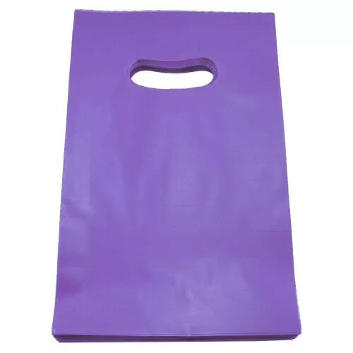 Sacola plástica para loja lilás 20x30x0.15cm com 50 unidades Sustenplast