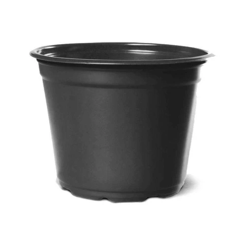 Vaso plástico redondo para muda holambra 10cm n°14 preto Nutriplan